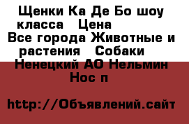 Щенки Ка Де Бо шоу класса › Цена ­ 60 000 - Все города Животные и растения » Собаки   . Ненецкий АО,Нельмин Нос п.